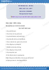 Đề thi học kì 2 Văn 7 Cánh diều - Đề số 6